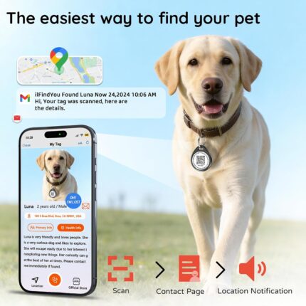 Close-up of a round, black ILFINDYOU QR code pet ID tag with an eagle design, attached to a dog collar.