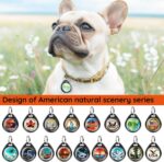 Close-up of a round, black ILFINDYOU QR code pet ID tag with an eagle design, attached to a dog collar.