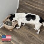 A cappuccino-colored Neater Feeder Express elevated dog bowl stand with two stainless steel bowls filled with food and water.