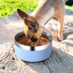 A single personalized RTYVBMX blue stainless steel dog bowl with custom laser-engraved text.