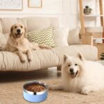 A single personalized RTYVBMX blue stainless steel dog bowl with custom laser-engraved text.